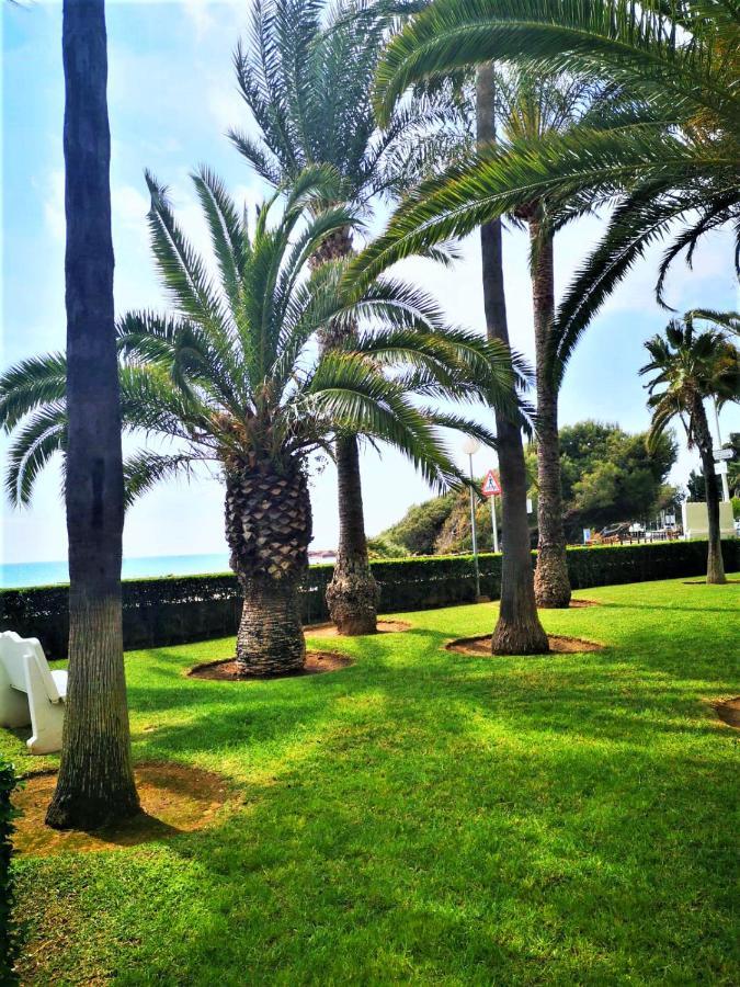 Apartamentos Casablanca Altamar Alcossebre Eksteriør billede