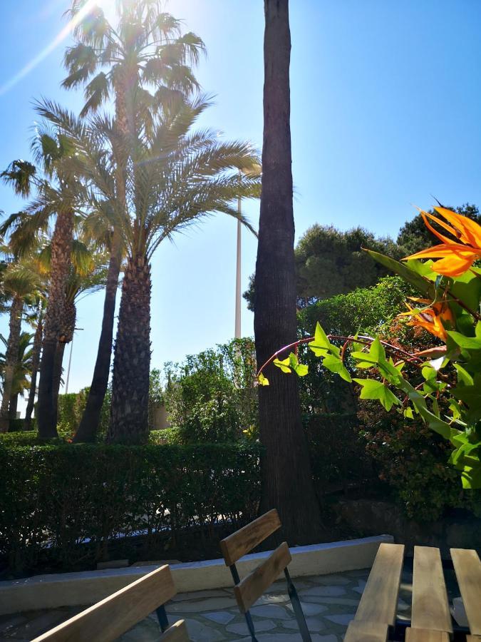 Apartamentos Casablanca Altamar Alcossebre Eksteriør billede